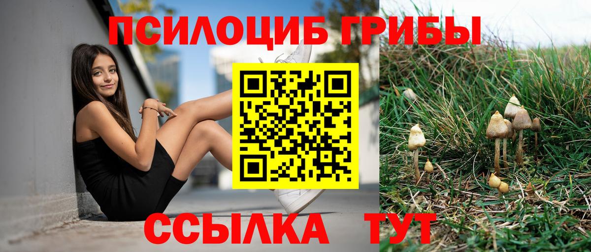 Галлюциногенные грибы ЛСД  Вход с VPN  Галлюциногенные грибы мухоморы  Нижний Новгород 