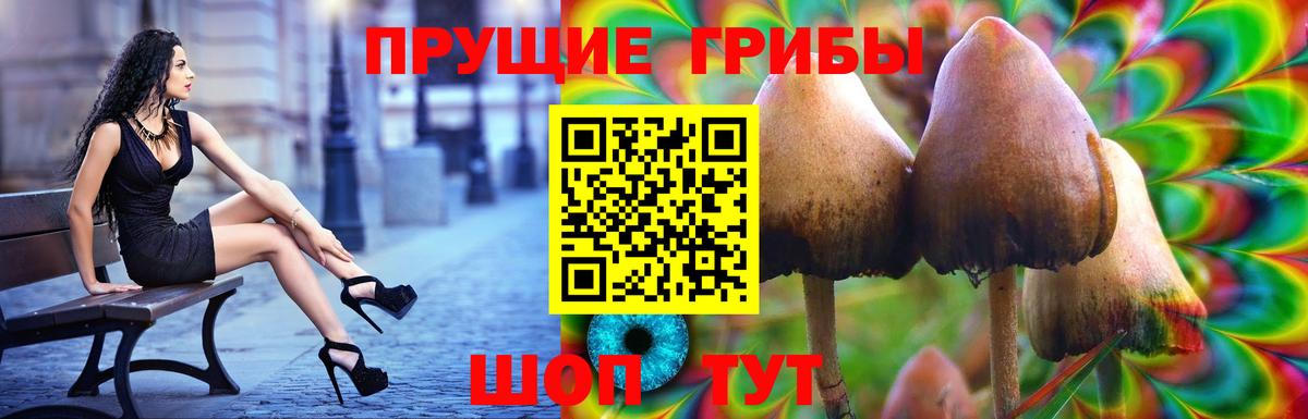 Псилоцибиновые грибы MAGIC MUSHROOMS Нижний Новгород